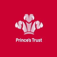 Princes Trust Development Awards Princes Trust Development Awards